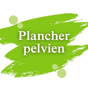 Plancher pelvien | Dimann