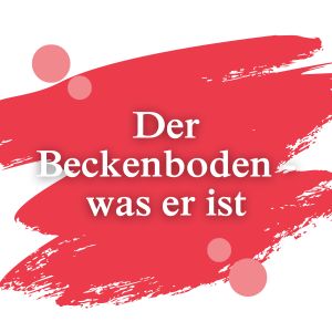 Der Beckenboden - was er ist | Dimann