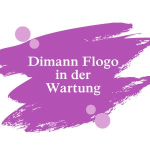 Dimann Flogo in der Wartung