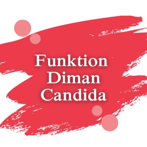 Funktion Dimann Candida | Dimann